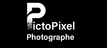 Logopictopixel